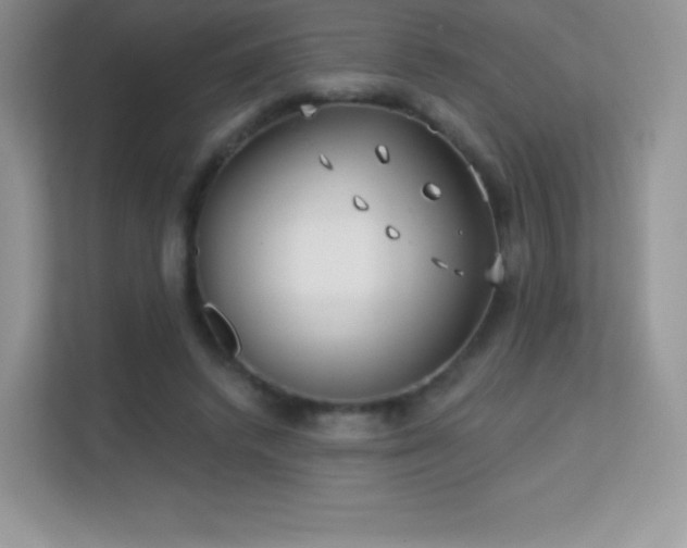 X0000113550448200909251041