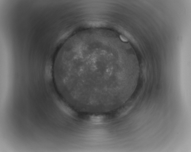 X0000113550450200909251041