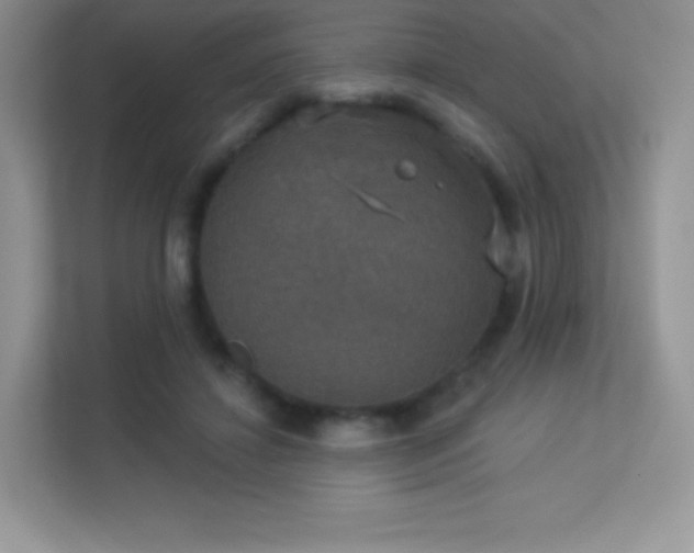 X0000113550452200909251041