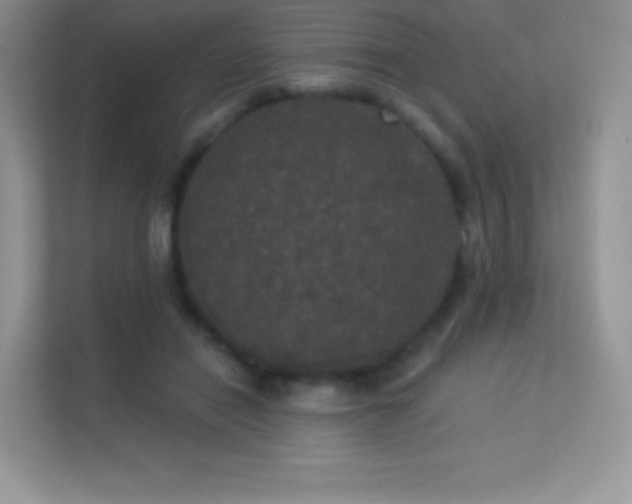 X0000113550454200909251041