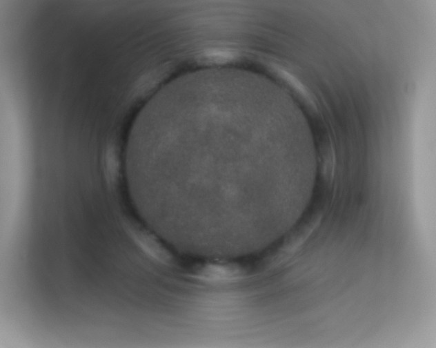 X0000113550455200909251041