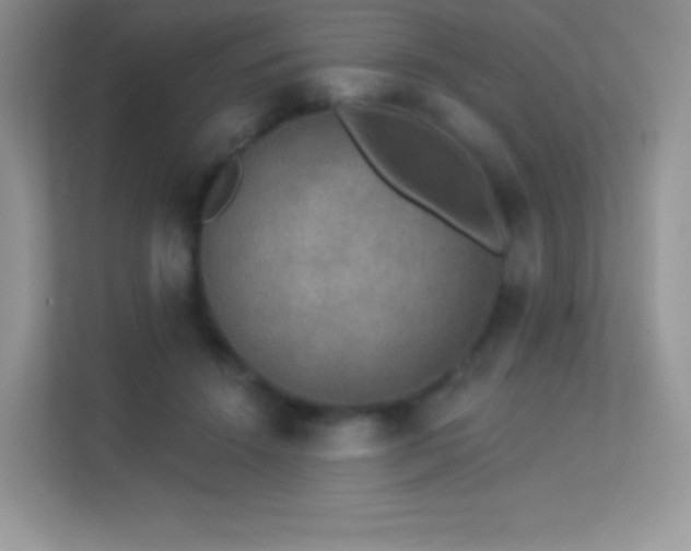 X0000113550456200909251041