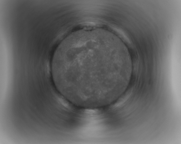 X0000113550457200909251041