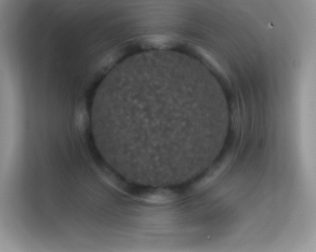 X0000113550459200909251041