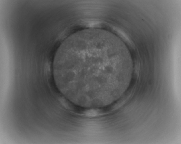 X0000113550461200909251041