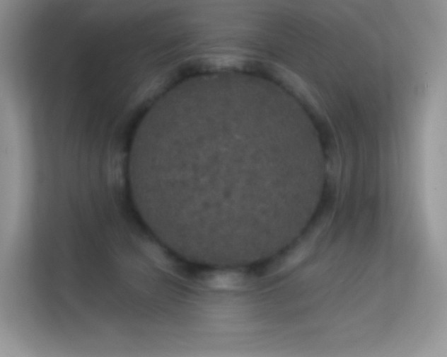 X0000113550462200909251041