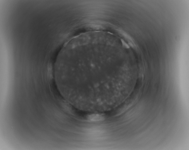 X0000113550465200909251041