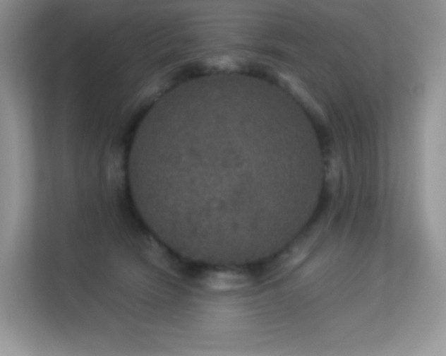 X0000113550466200909251041