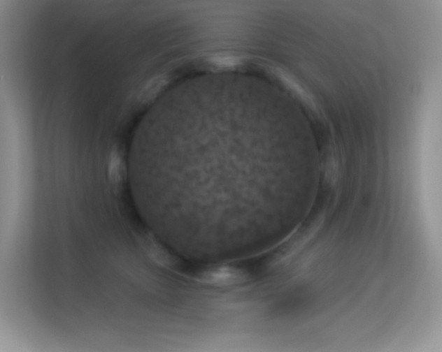 X0000113550467200909251041