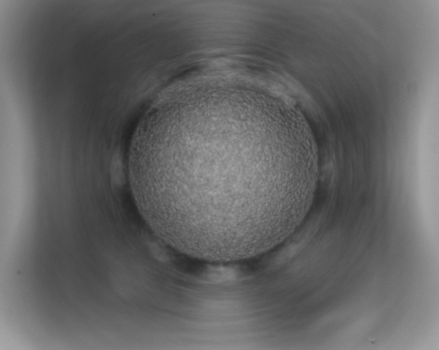 X0000113550469200909251041