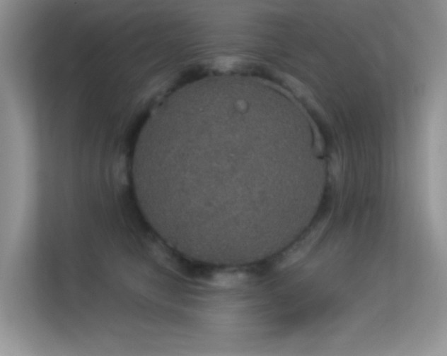 X0000113550470200909251041