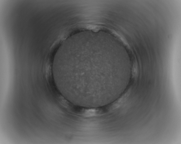 X0000113550473200909251041