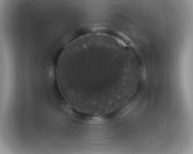 X0000113550475200909251041