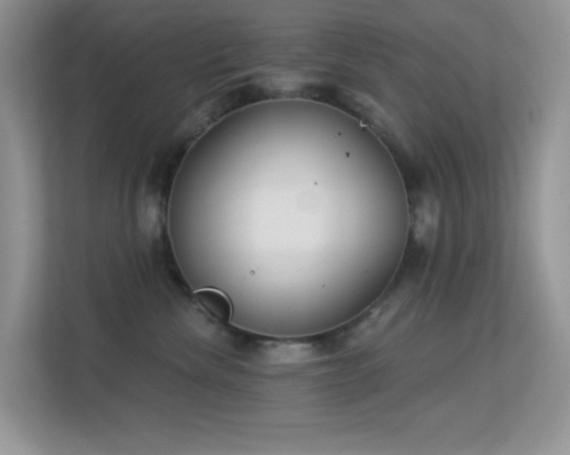 X0000113550476200909251041