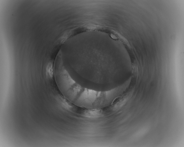 X0000113550479200909251041