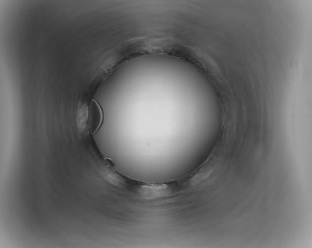 X0000113550480200909251041