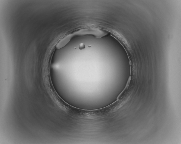 X0000113550481200909251041