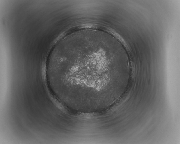 X0000113550482200909251041