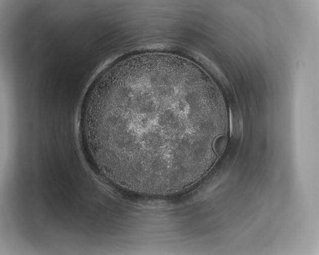 X0000113550483200909251041