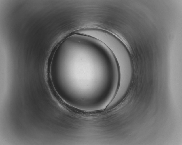 X0000113550485200909251041