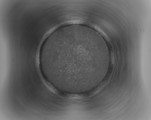 X0000113550486200909251041