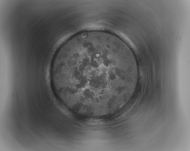 X0000113550487200909251041