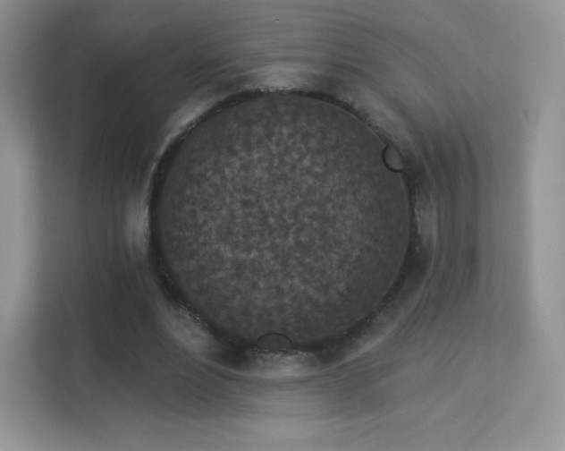 X0000113550488200909251041