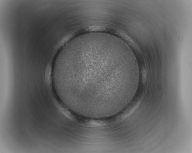 X0000113550490200909251041