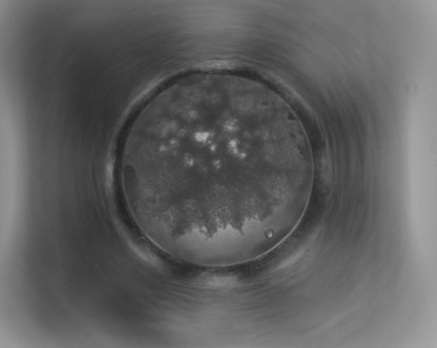 X0000113550491200909251041