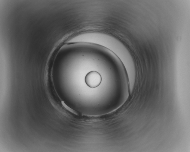 X0000113550492200909251041