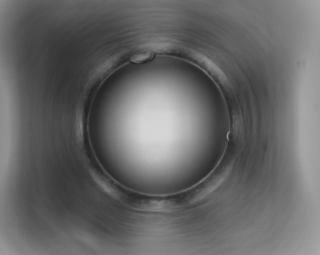 X0000113550493200909251041