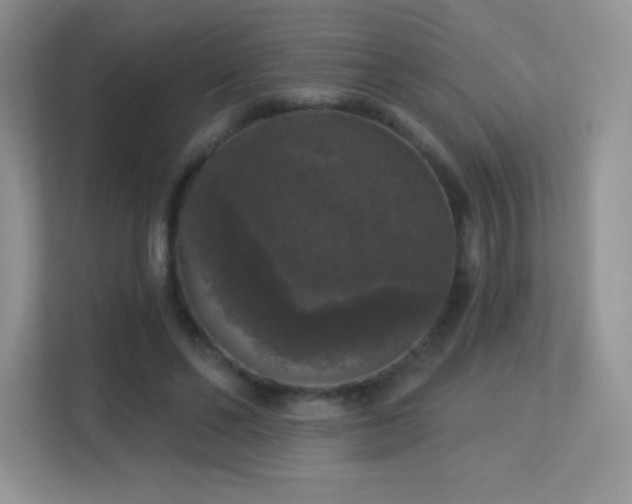 X0000113550494200909251041