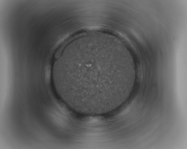 X0000113550495200909251041