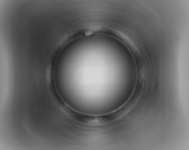 X0000113550497200909251041