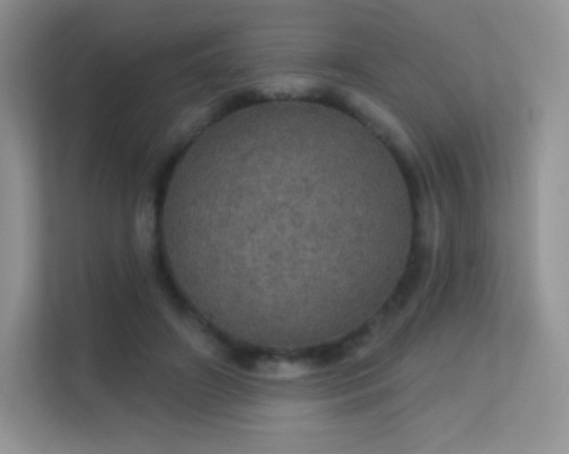 X0000113550498200909251041