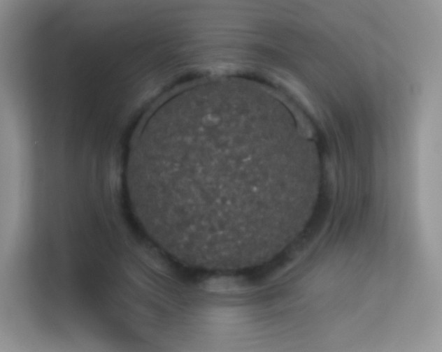 X0000113550499200909251041