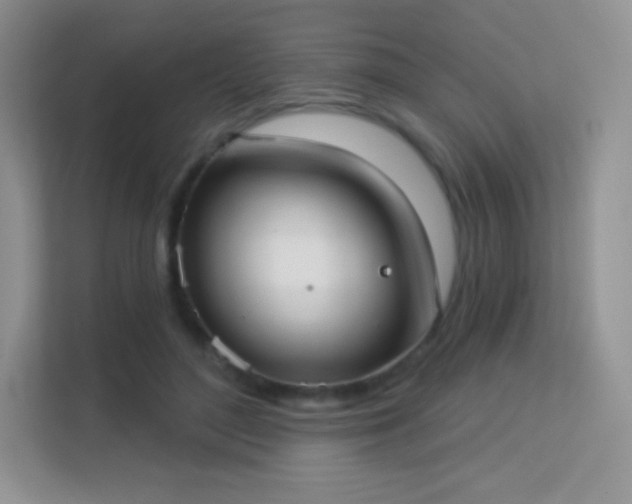 X0000113550500200909251041