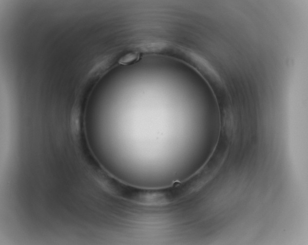 X0000113550501200909251041