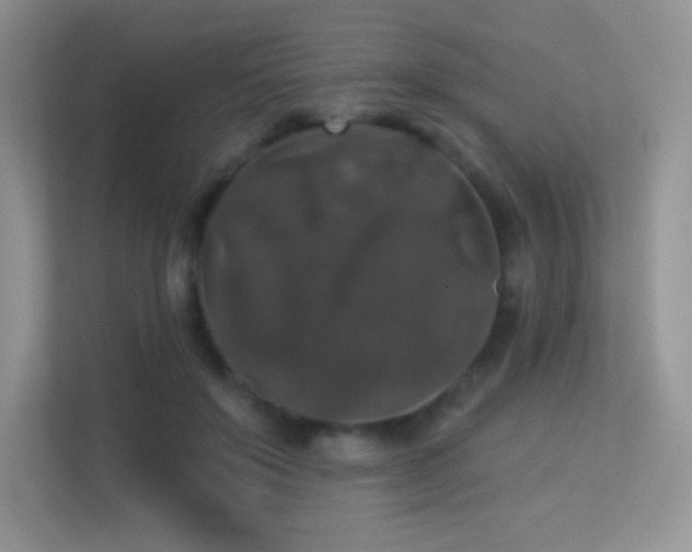 X0000113550503200909251041