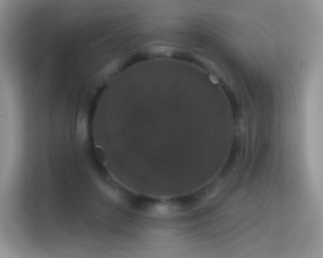 X0000113550504200909251041