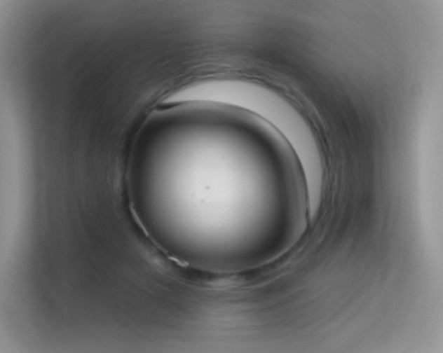 X0000113550505200909251041