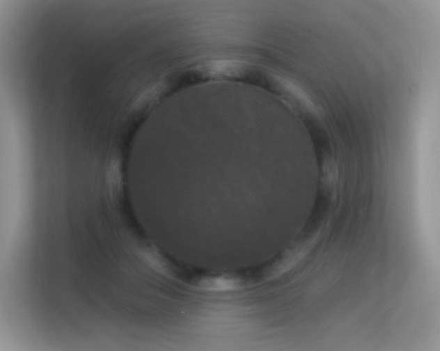 X0000113550506200909251041