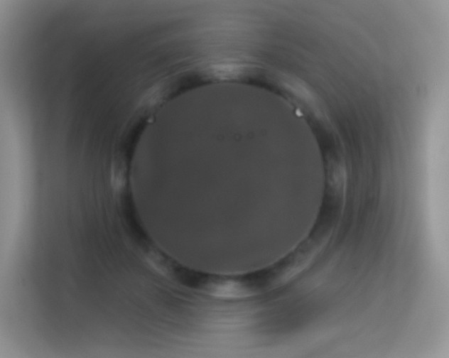 X0000113550507200909251041