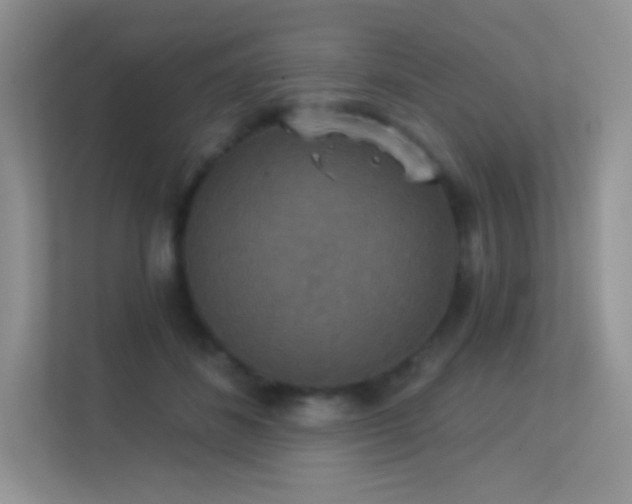 X0000113550508200909251041