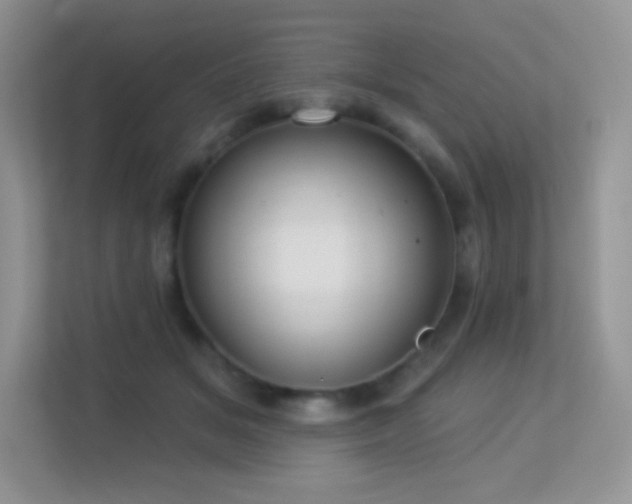 X0000113550509200909251040