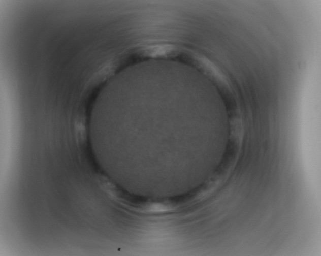 X0000113550510200909251040