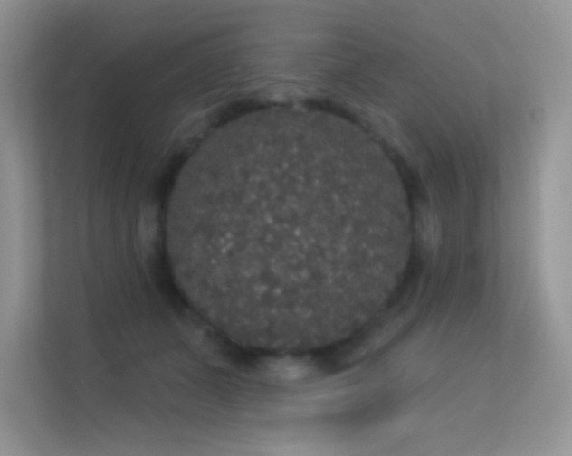 X0000113550511200909251040