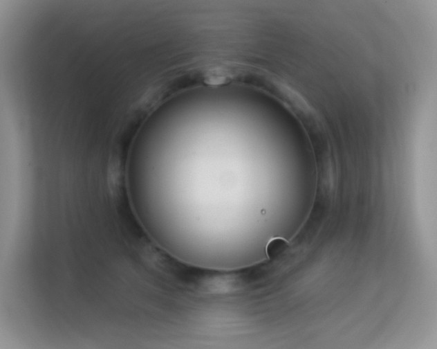 X0000113550513200909251040