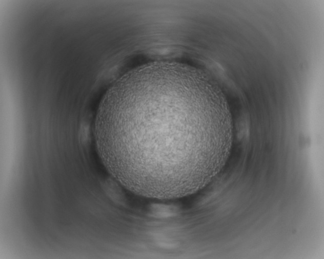 X0000113550515200909251040