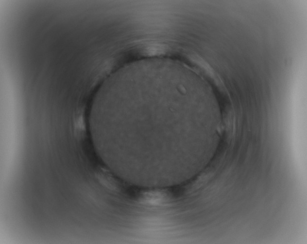 X0000113550516200909251040